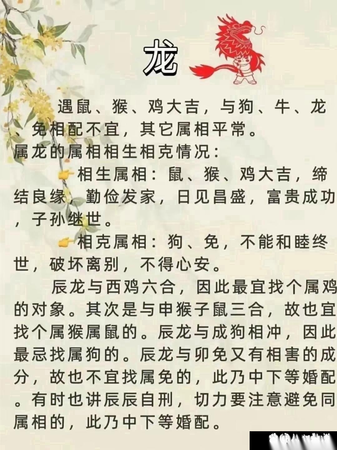 生肖鼠和猪婚配如何(鼠跟猪生肖做夫妻好吗) 生肖鼠和猪婚配如何(鼠跟猪生肖做夫妻好吗)