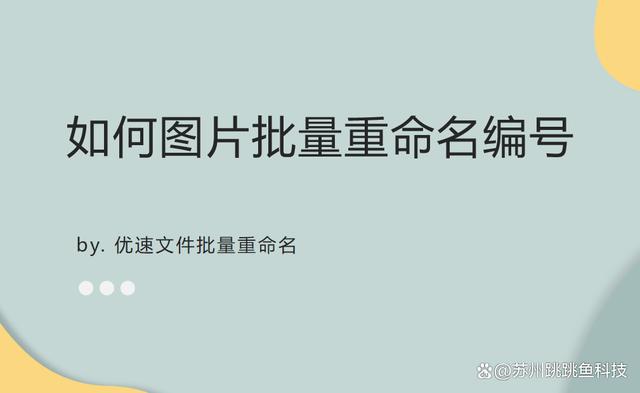 命名可信吗(命名规则是什么)