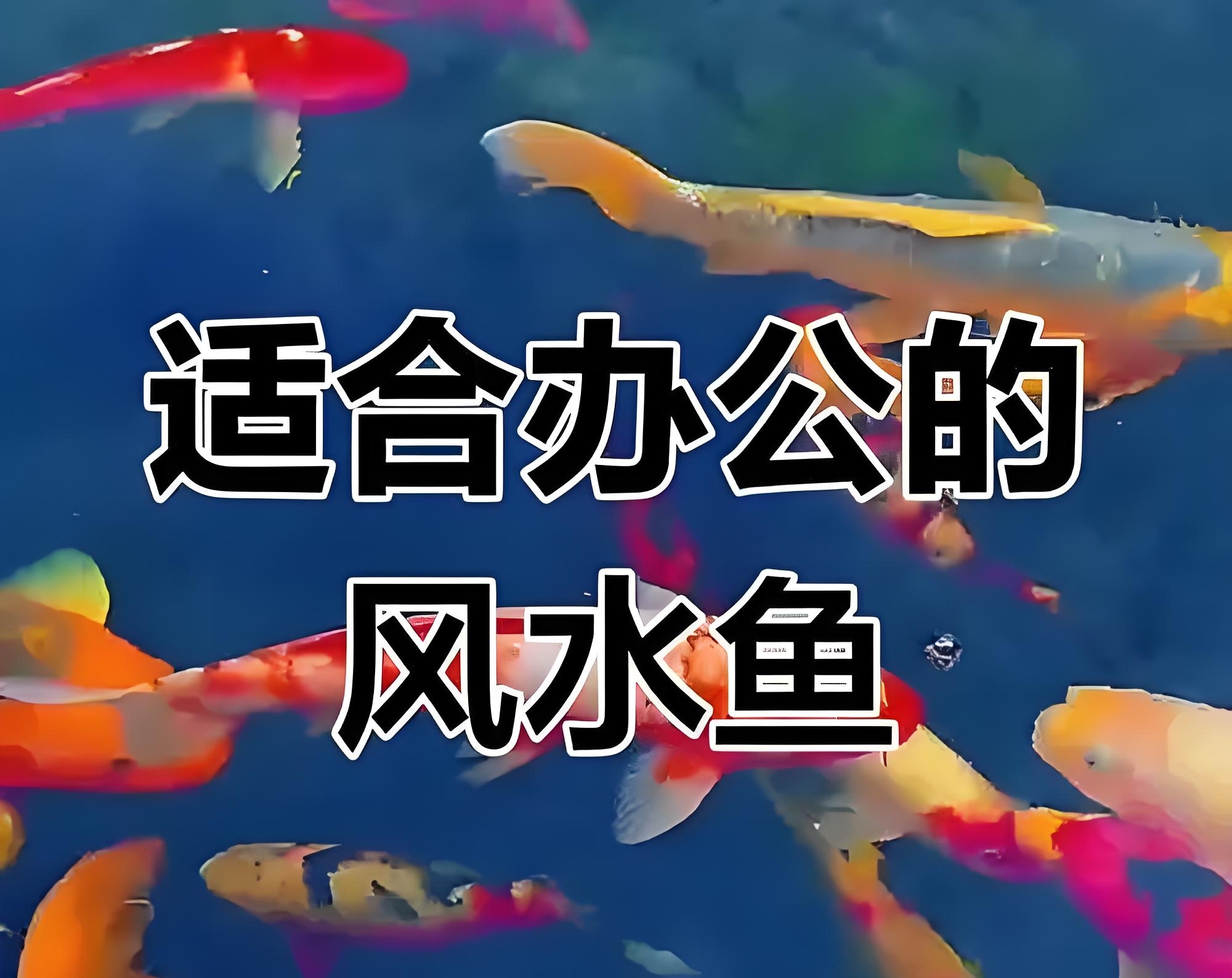 公众号风水教程(公众号昵称旺财名字) 公众号风水教程(公众号昵称旺财名字)