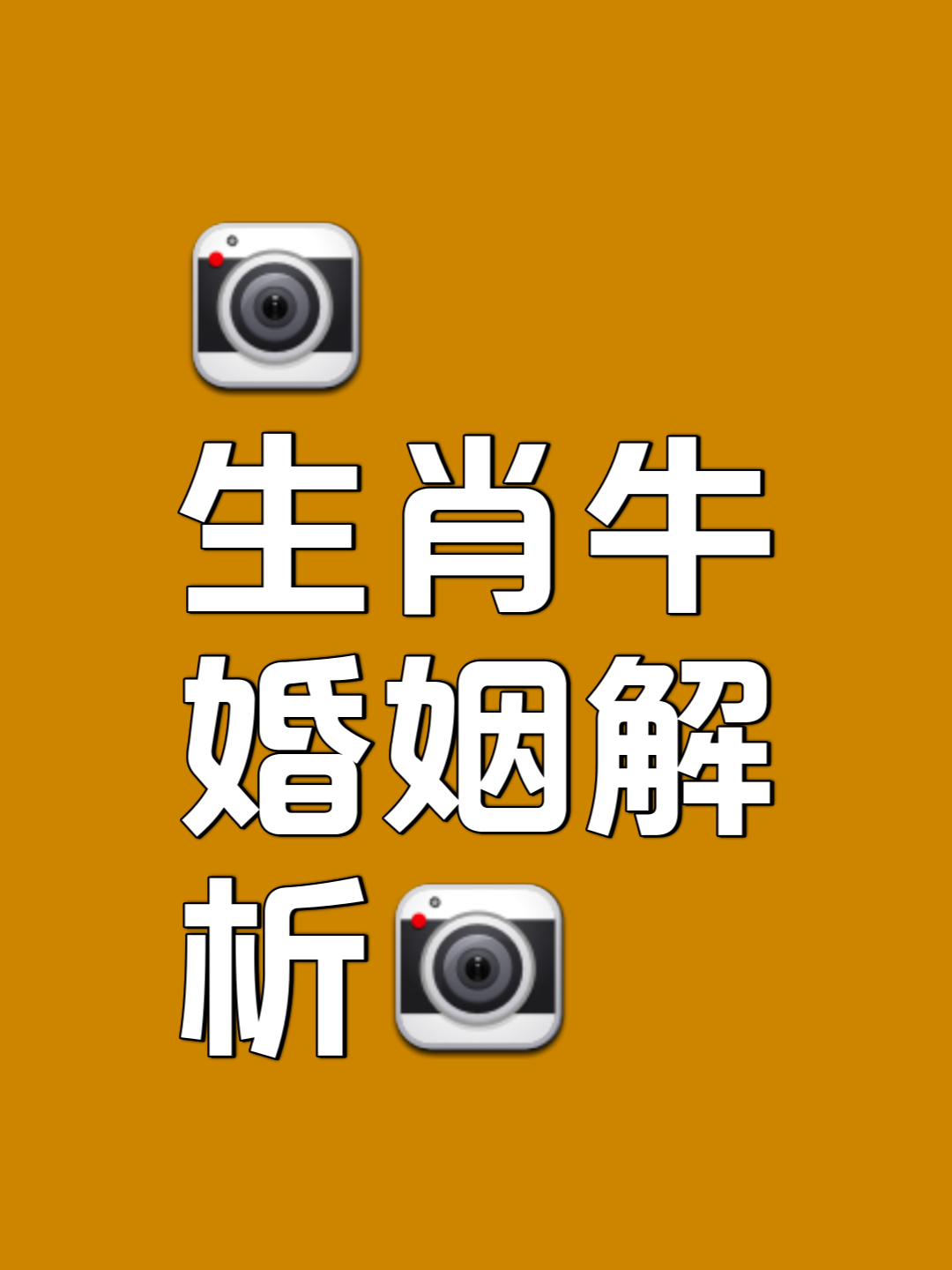 生肖婚姻运(生肖婚姻运势大全) 生肖婚姻运(生肖婚姻运势大全)
