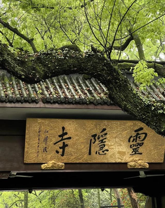 梦见寺庙(梦见寺庙发生火灾)
