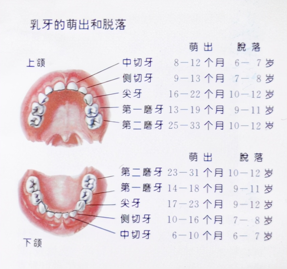 儿童换名(儿童更换姓名都要什么证明材料)