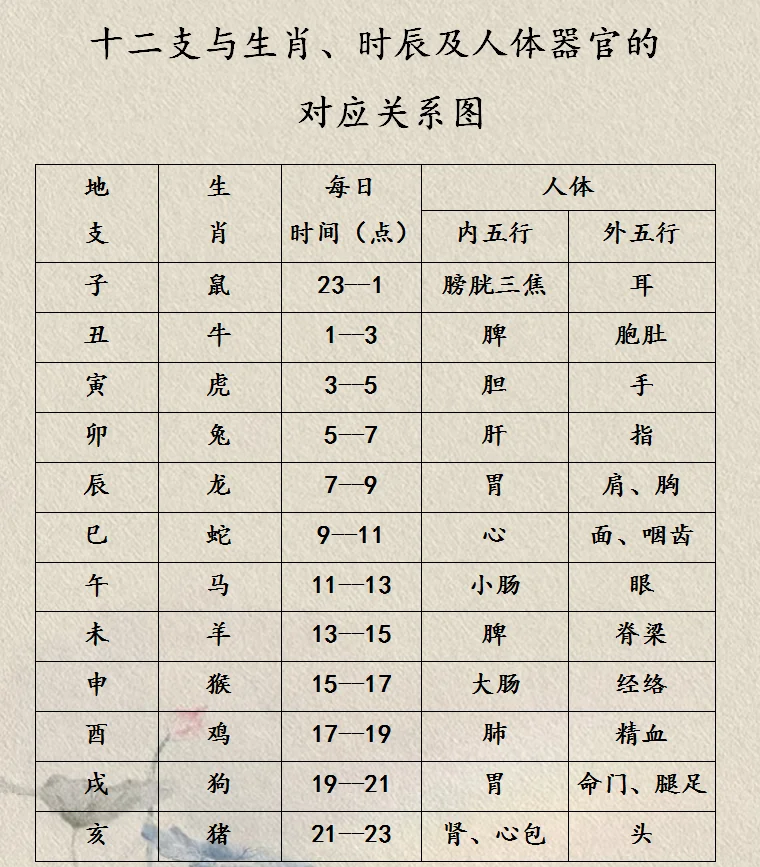 即时属相要素(属相以什么为标准) 即时属相要素(属相以什么为标准)