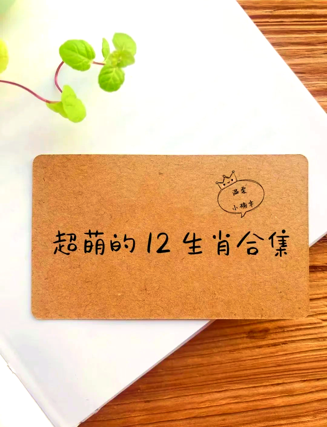 最新生肖教程(生肖生肖准确指南) 最新生肖教程(生肖生肖准确指南)