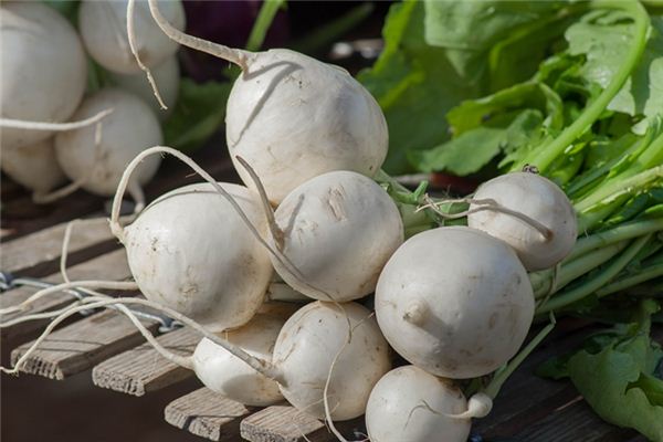 周公解梦梦到怀孕(周公解梦梦到怀孕是什么预兆)
