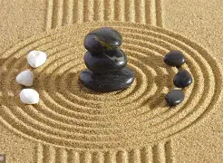深圳青囊(深圳青囊科技) 深圳青囊(深圳青囊科技)