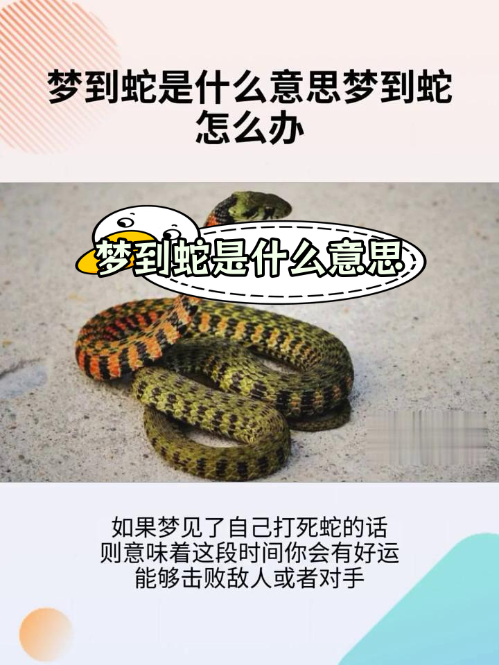 周公解梦梦见好多蛇(周公解梦梦见好多蛇缠着我)