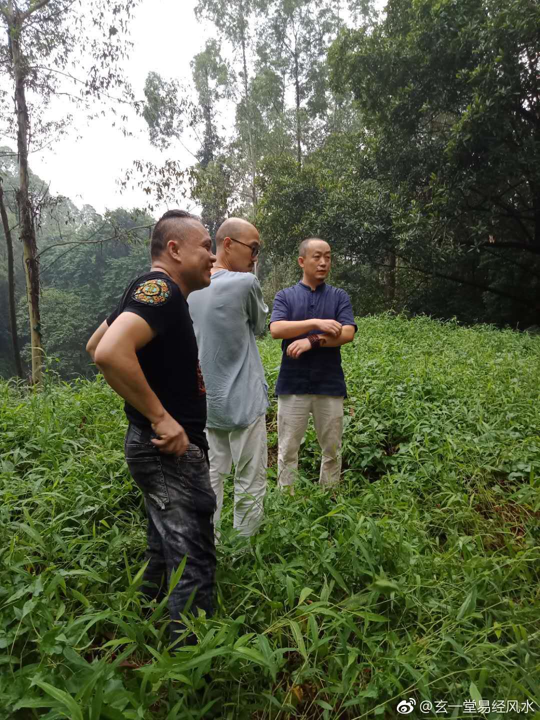 视频堪舆预算(建筑预算视频教程)