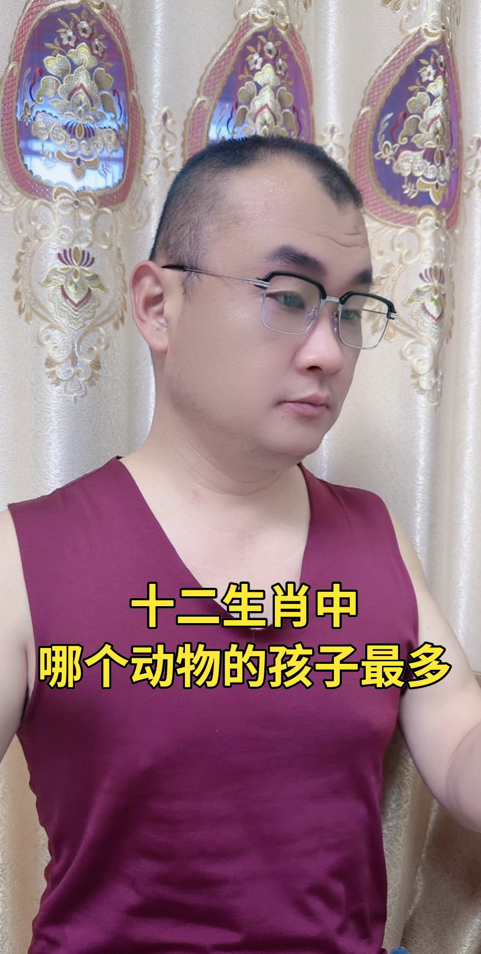 小孩十二生肖(十二生肖小宝宝动画片)