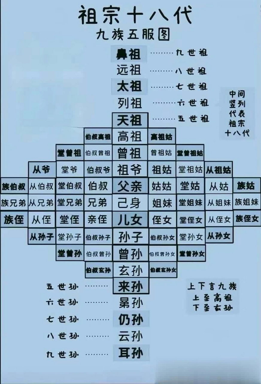 学生族谱(族谱内容参考) 学生族谱(族谱内容参考)
