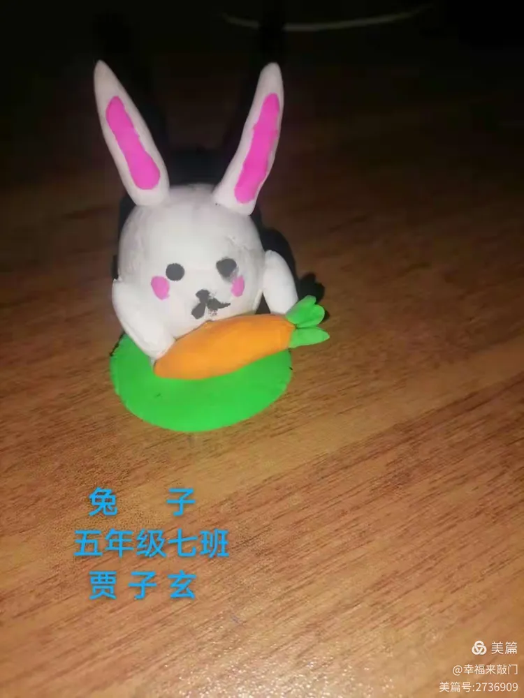 学生生肖(学生生肖代表动物) 学生生肖(学生生肖代表动物)