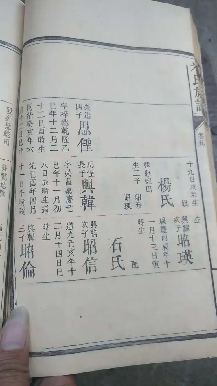 米姓家谱字辈查询