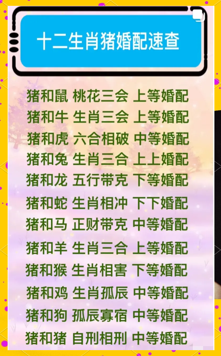 婚姻生肖 婚姻生肖