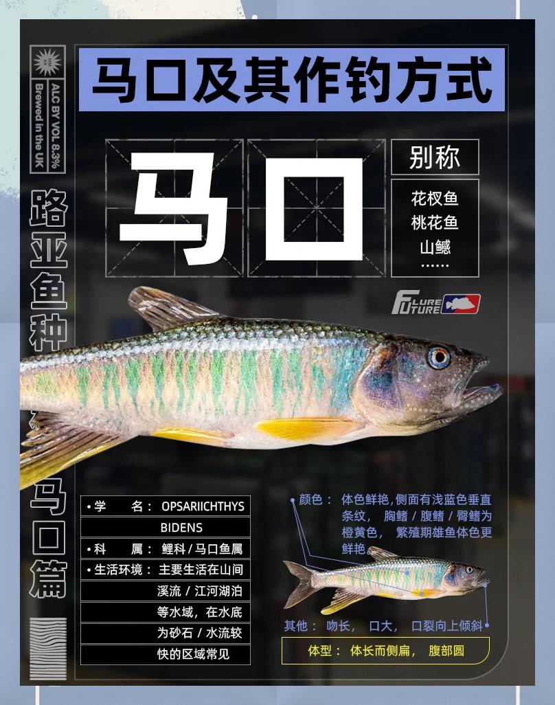 苦花鱼几月份最好钓