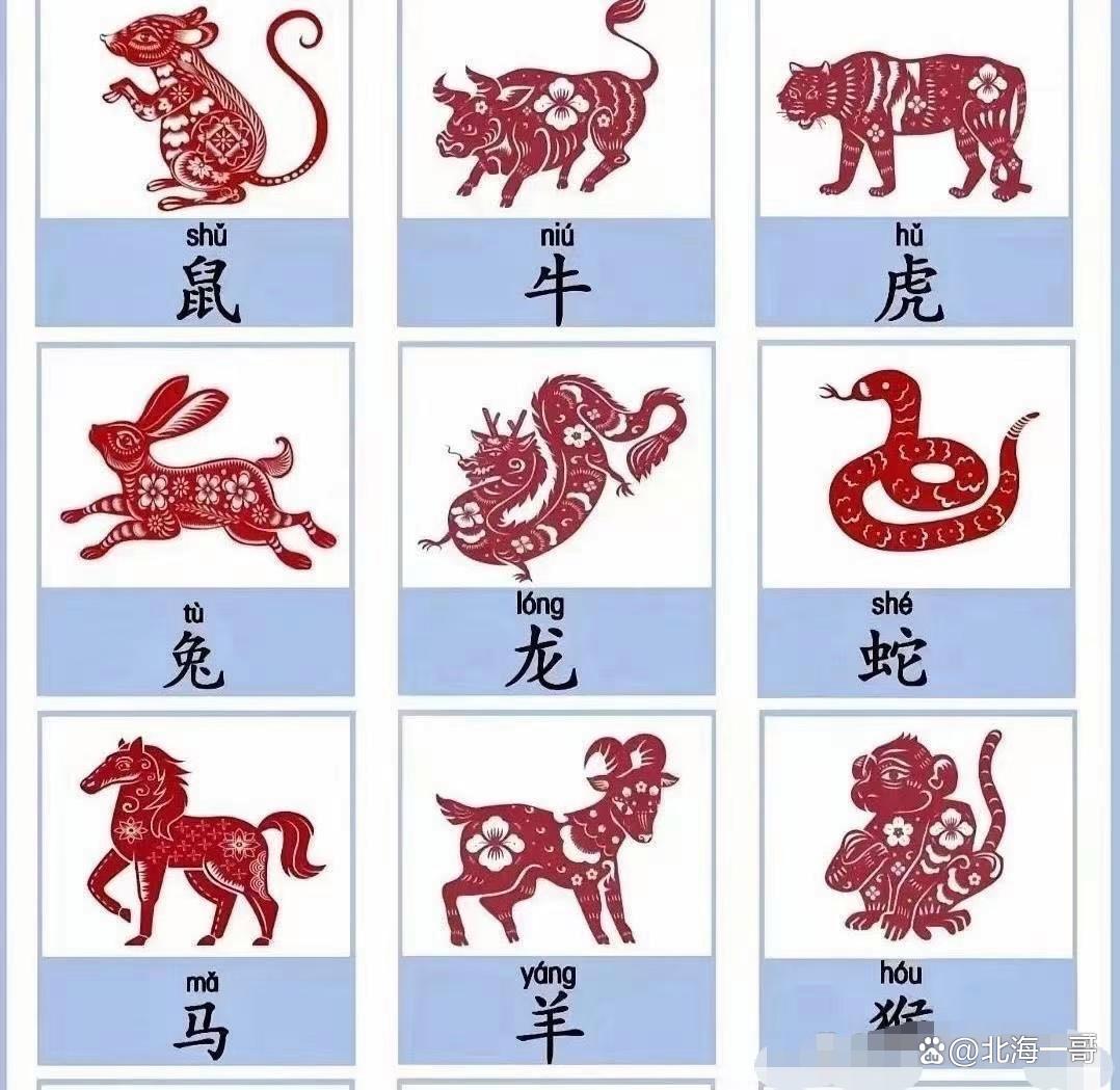 完整版属相真的吗 完整版属相真的吗
