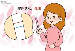 好孕妈妈网免费测名入口