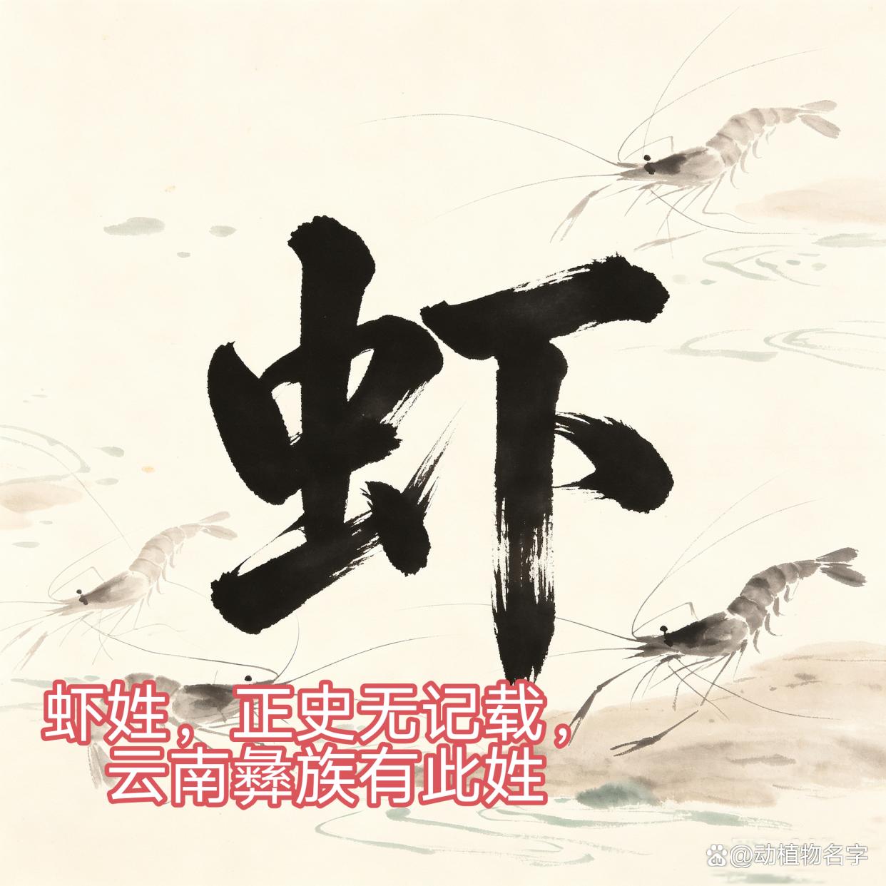 动物姓氏的常见名字