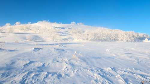 梦见下雪在周公解梦中的含义