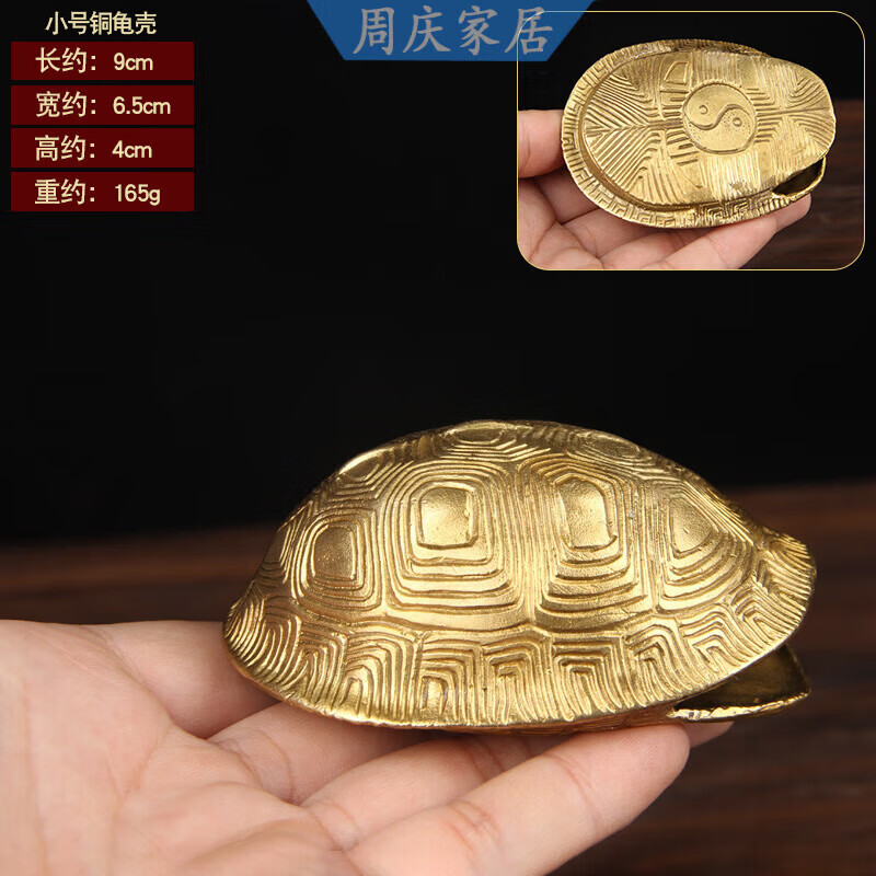 六爻占卜龟壳用法视频