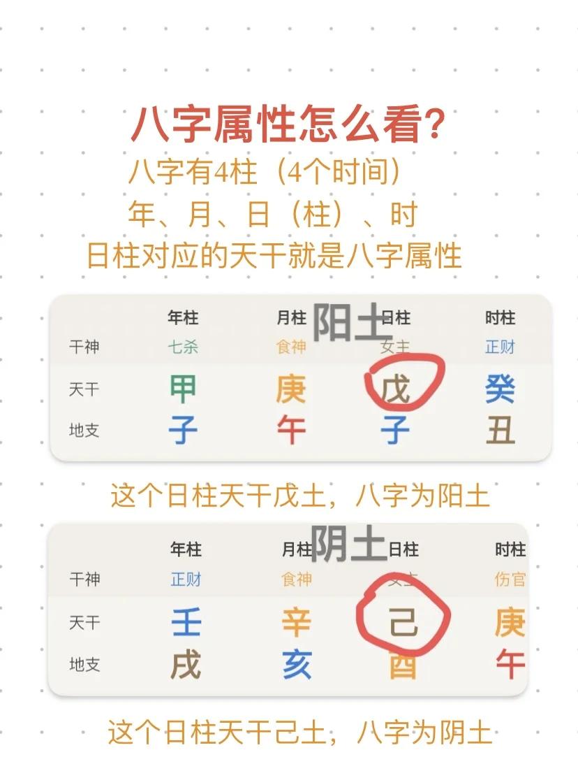 八字排盘紫微算命 八字排盘紫微算命