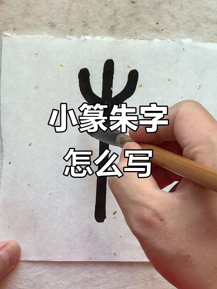 百家姓朱