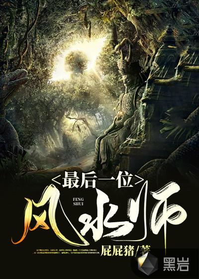风水先生小说 风水先生小说