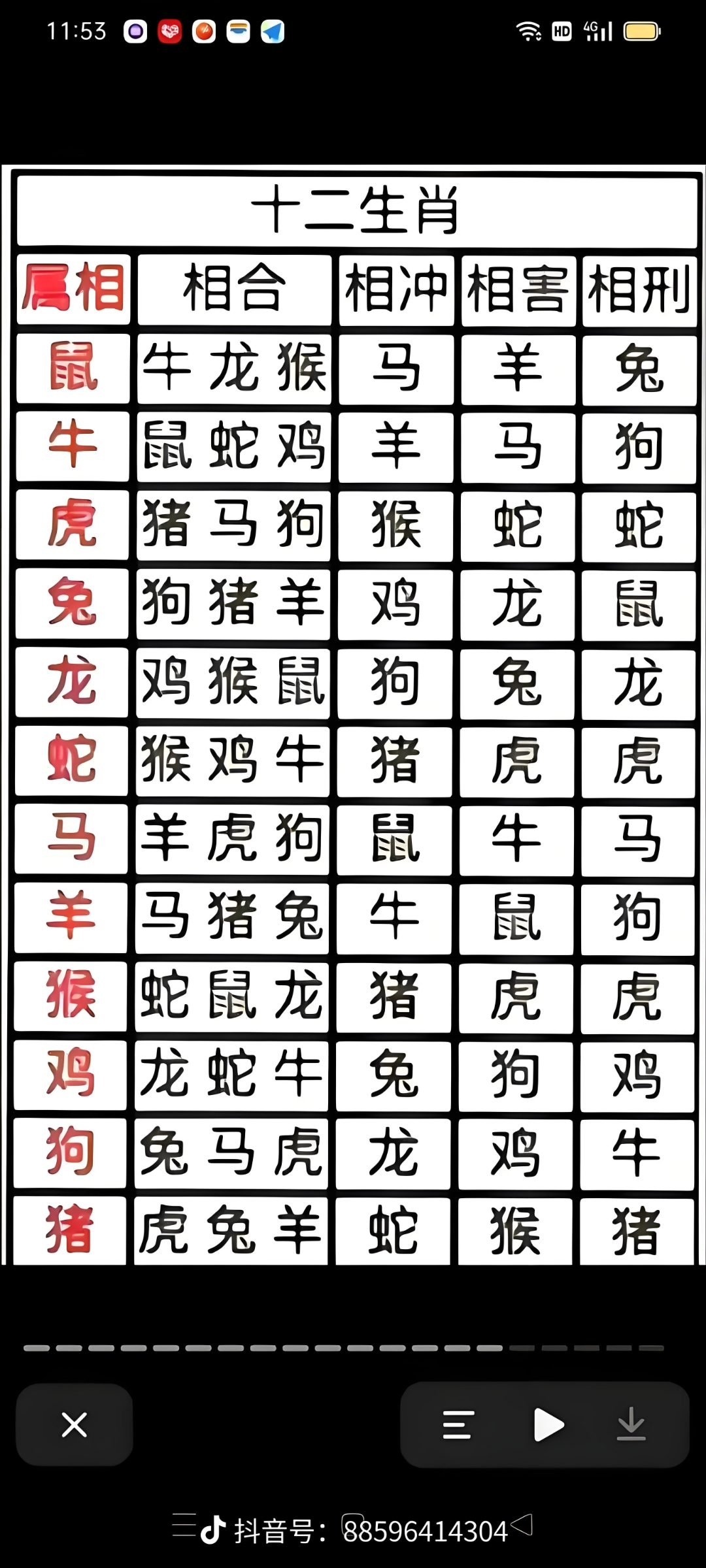 生肖配对表2024