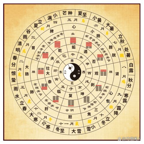 八字排盘细盘免费 八字排盘细盘免费