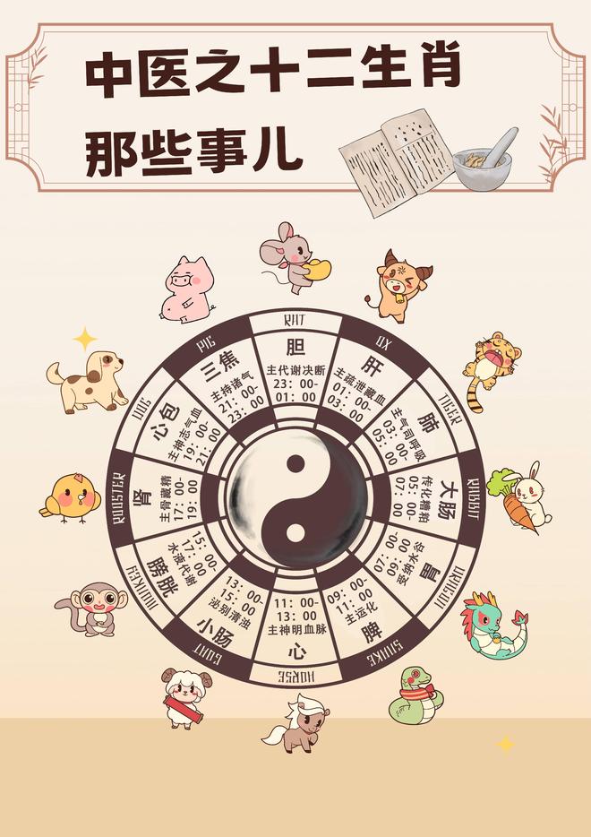 属相要点 属相要点