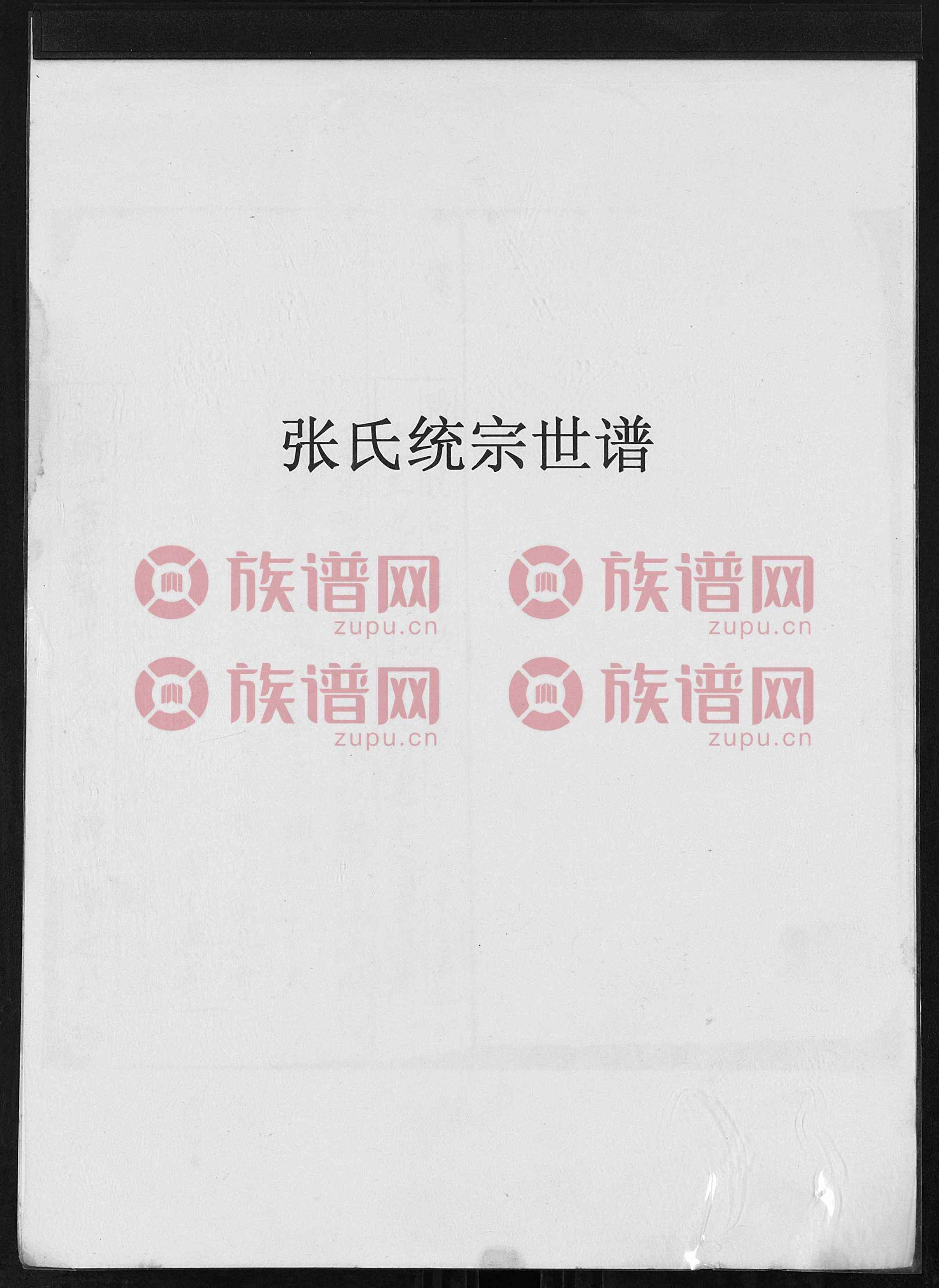 百家姓张氏家谱 百家姓张氏家谱