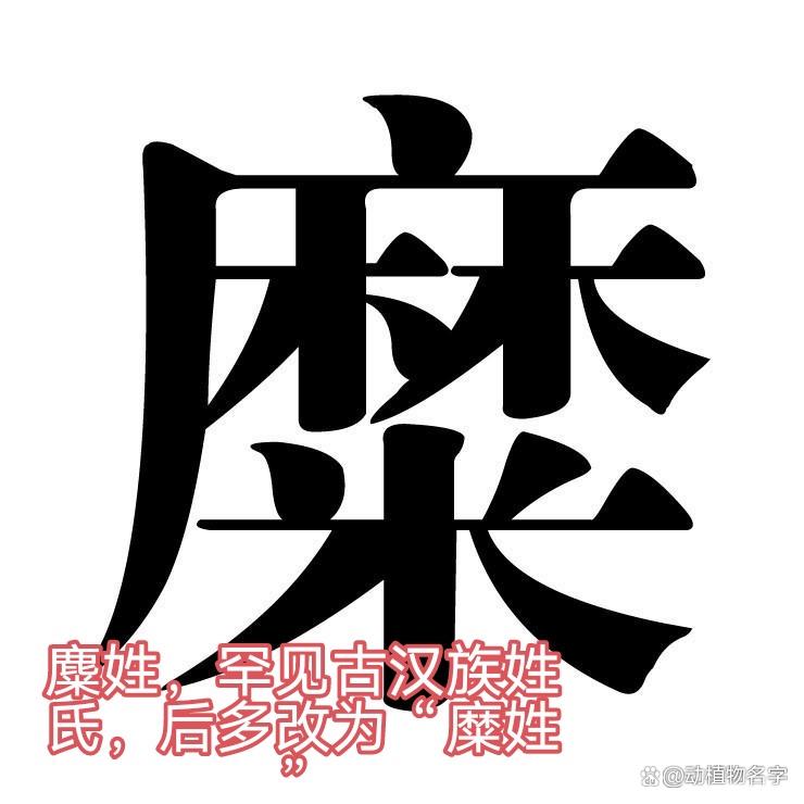 动物姓氏的排序怎么排 动物姓氏的排序怎么排