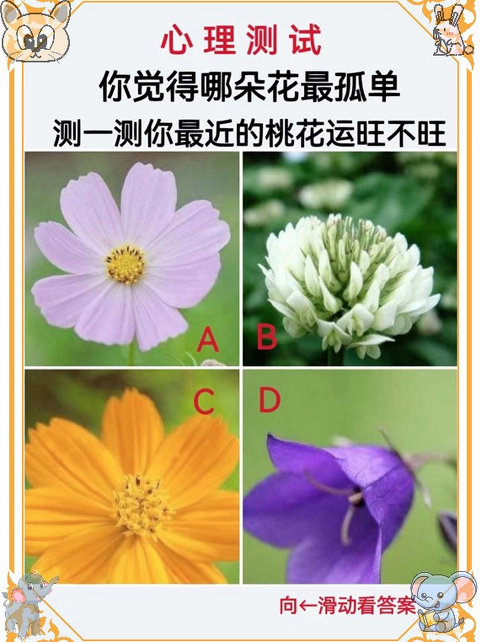 桃花运测试技巧 桃花运测试技巧