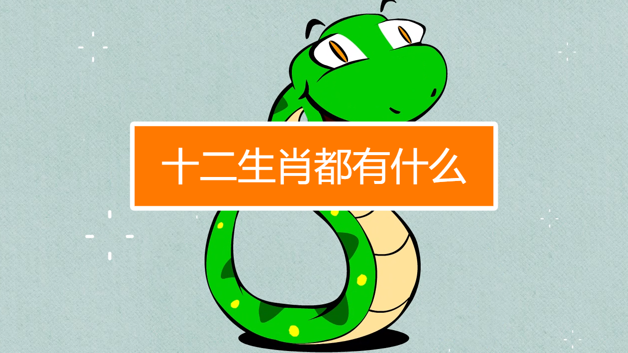 视频十二生肖准吗