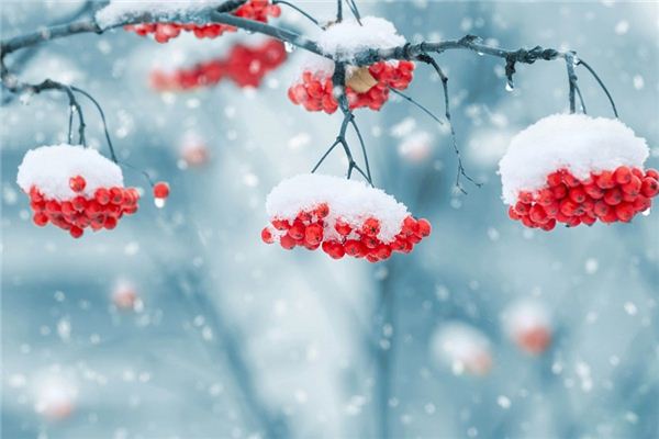 周公解梦下雪代表什么意思 周公解梦下雪代表什么意思