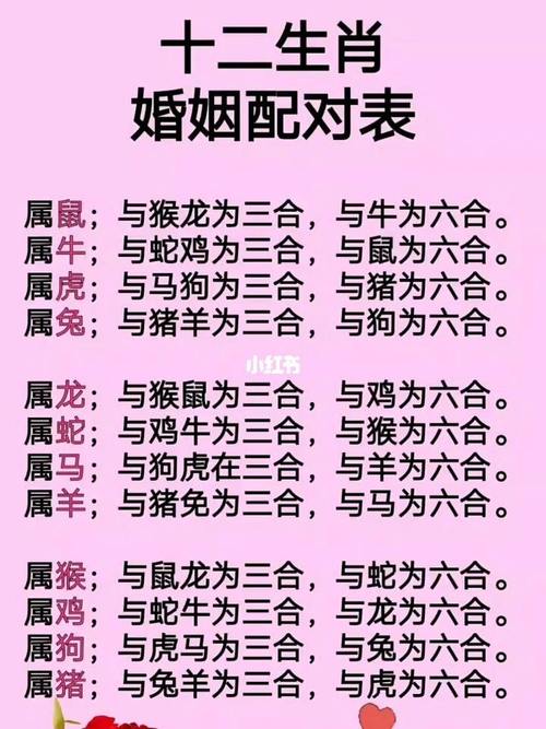 12生肖婚姻最佳配对 12生肖婚姻最佳配对