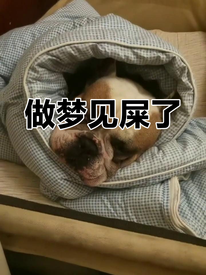 梦见拉屎有什么含义 梦见拉屎有什么含义