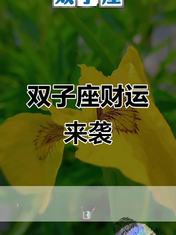 双子座今日财运汉程网 双子座今日财运汉程网