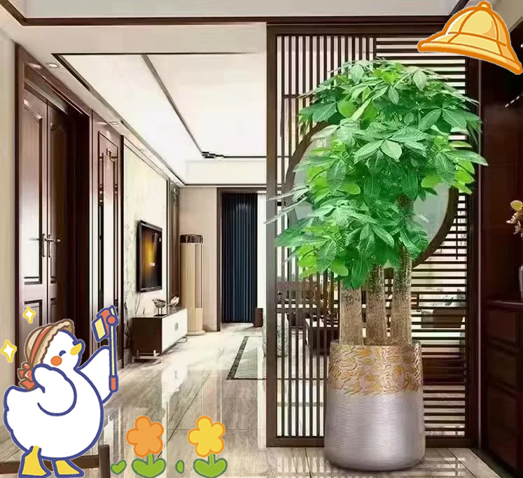 门口放什么最旺风水 门口放什么最旺风水