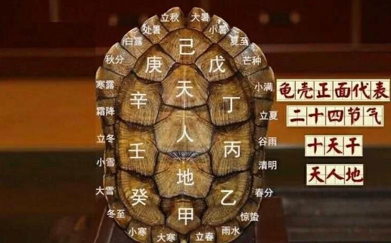 包含六爻龟壳每日一卦免费使用教程的词条 包含六爻龟壳每日一卦免费使用教程的词条