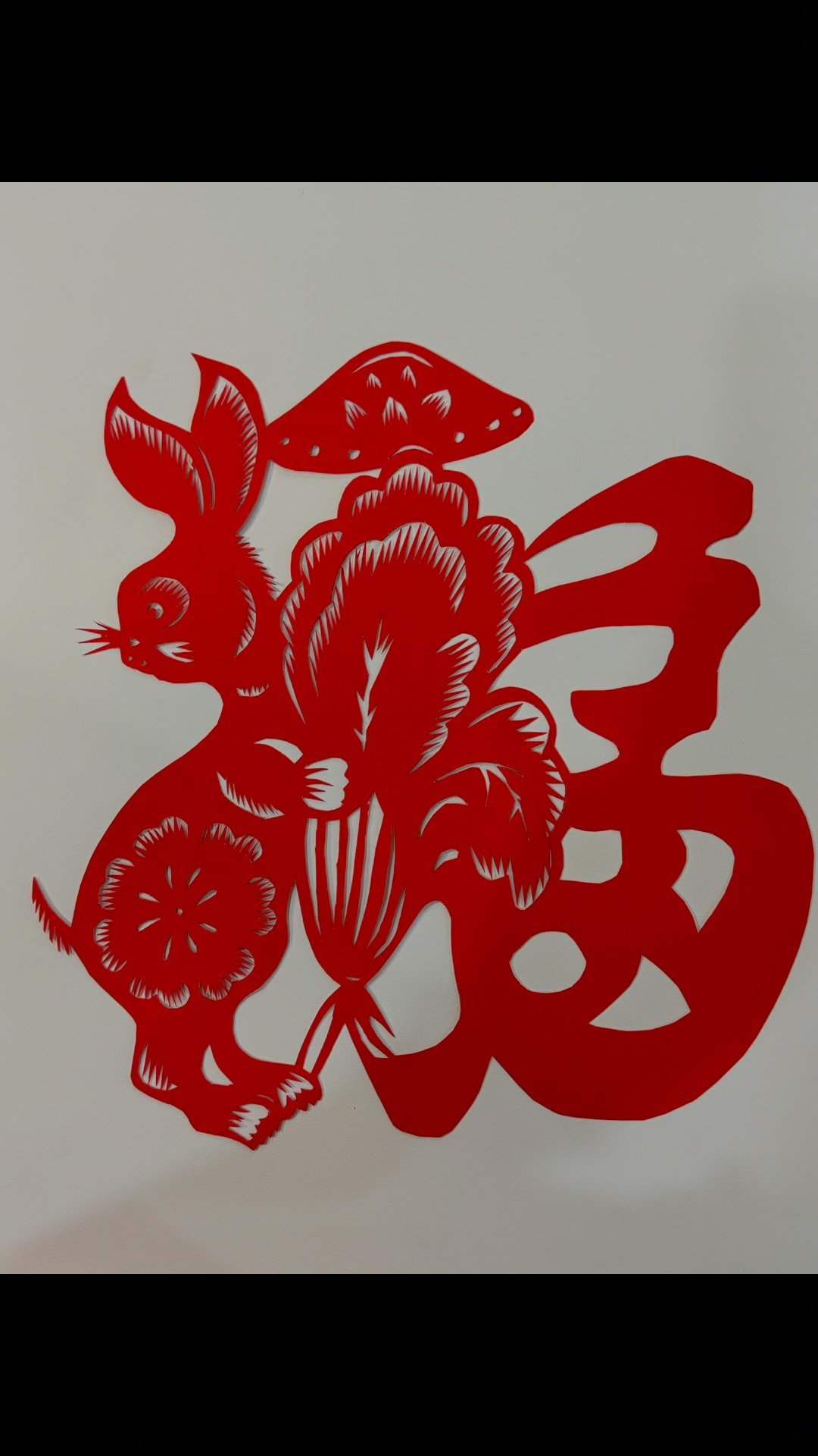 十二生肖兔