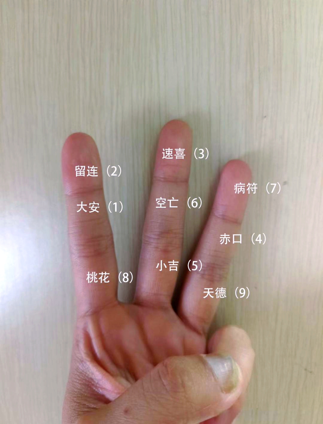 占卜的概念