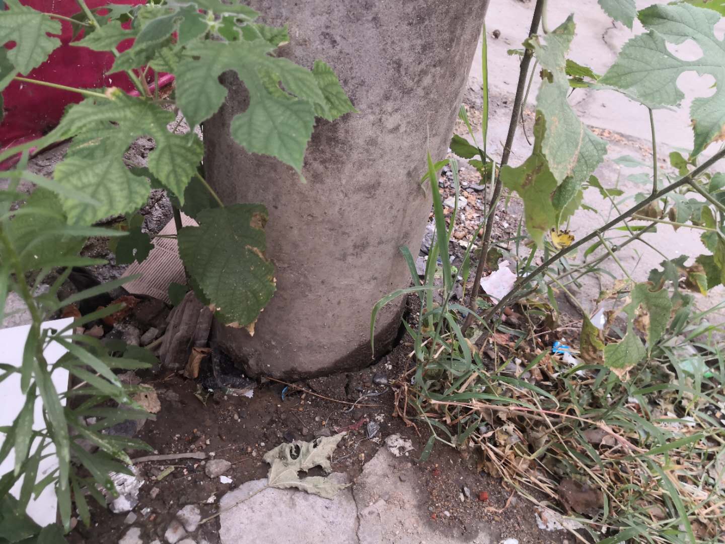 电线杆隔一条路是吉是凶 电线杆隔一条路是吉是凶