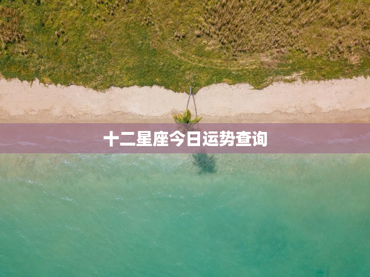 包含新浪网星座运势每天查询的词条