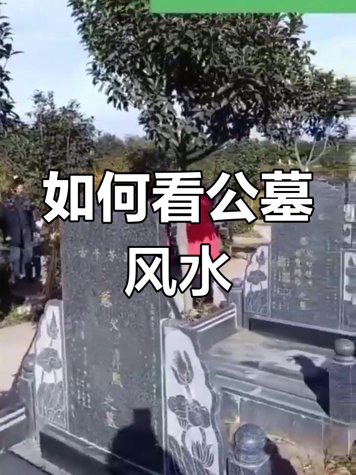 墓地选位置风水小技巧图片 墓地选位置风水小技巧图片