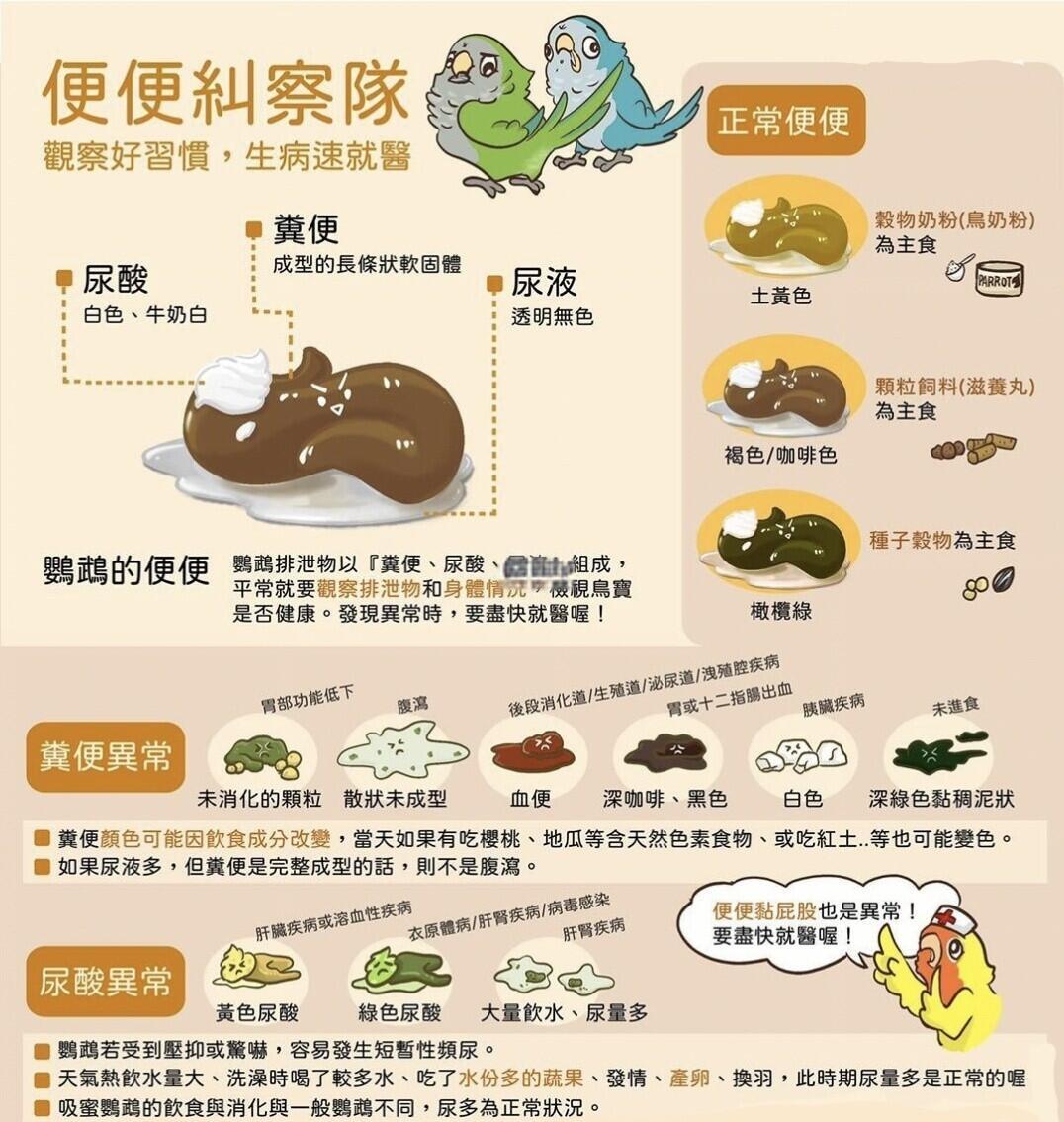 周公解梦中粪便代表什么 周公解梦中粪便代表什么