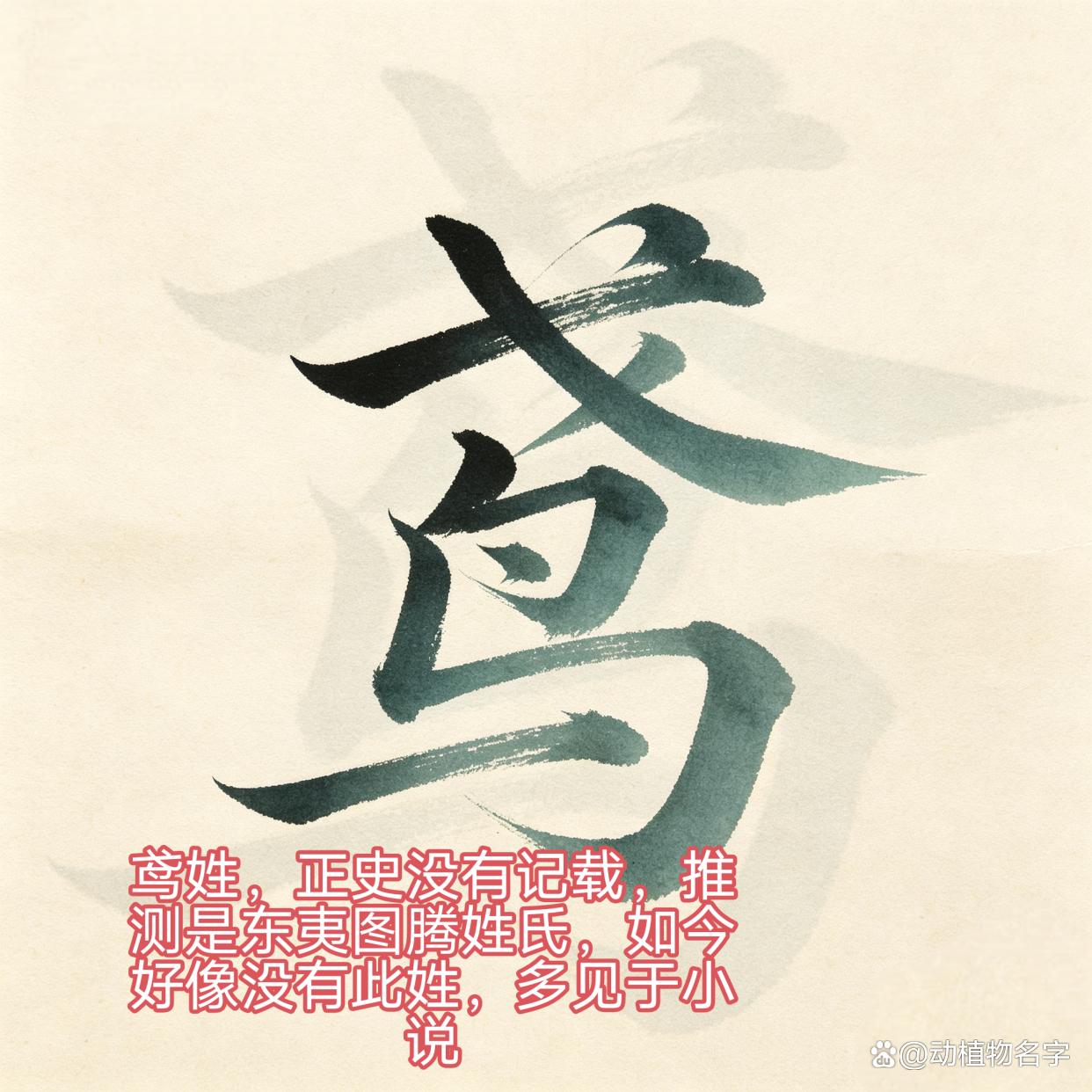 姓动物的名人