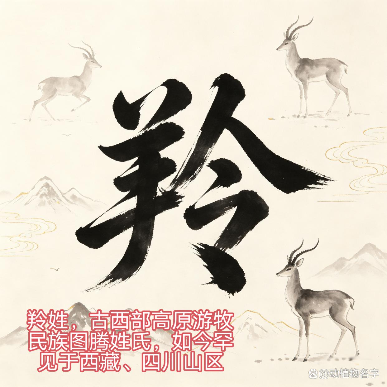 姓动物的名人