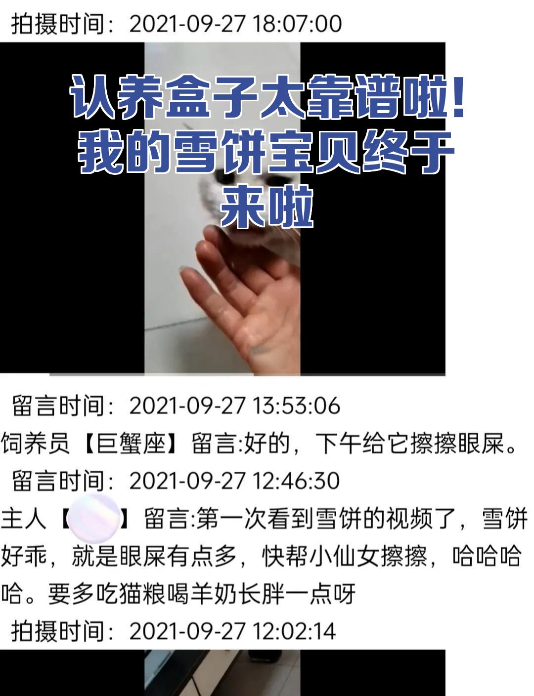 靠谱取名价位
