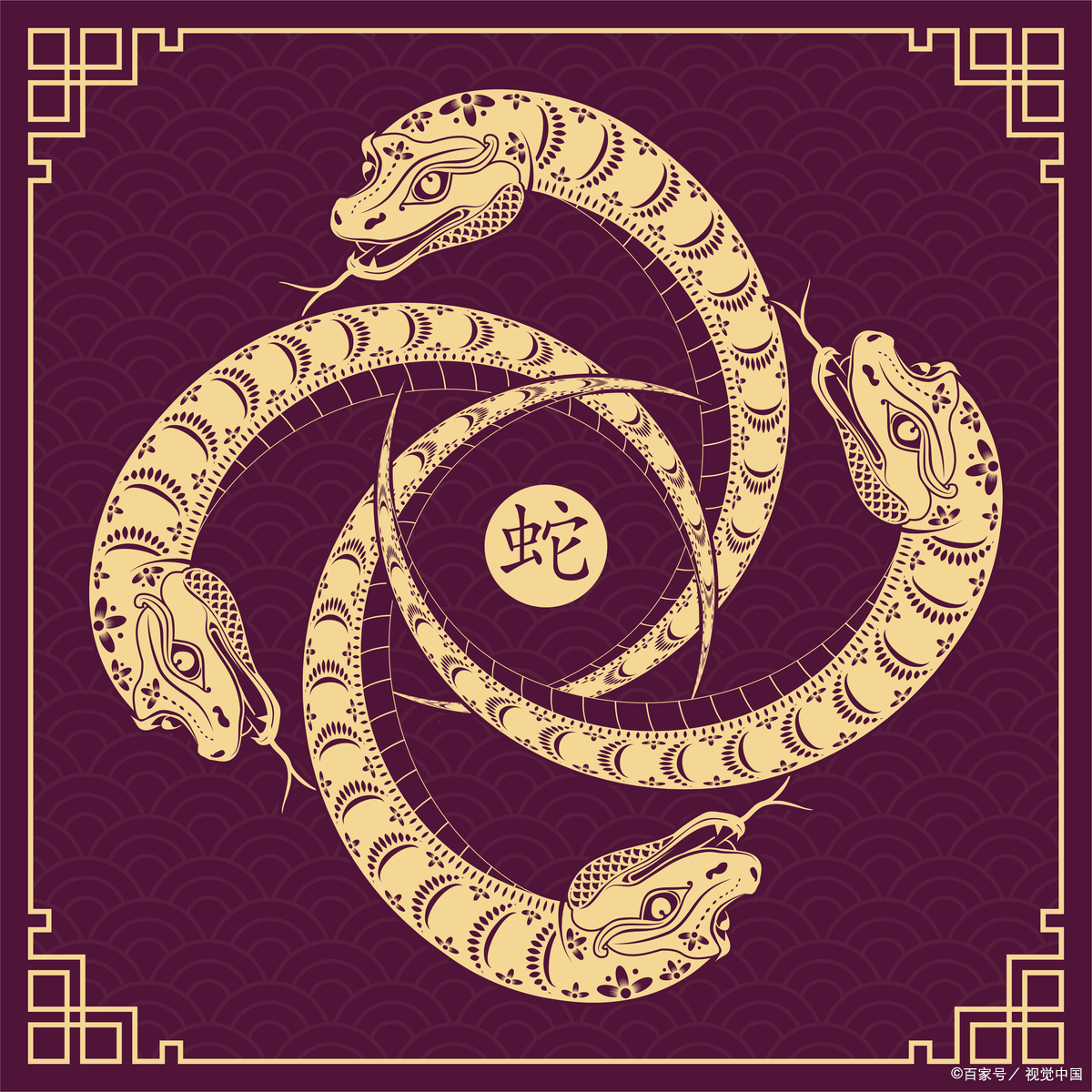属相蛇 属相蛇