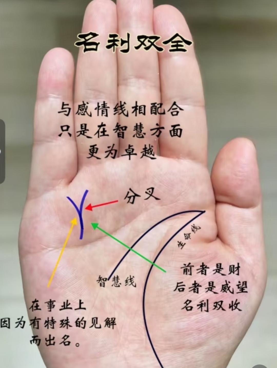 大师教你算命看相